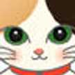chinta