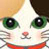 chinta