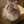 まめまきねこ