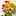 orange_221 orange_221