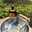 yory_lee