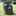 bearman6229 bearman6229