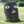 bearman6229