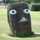 bearman6229 bearman6229