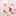 桜うさぎ❀ 桜うさぎ❀