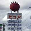 中泊町産直「ピュア」