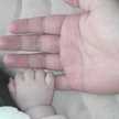 zumi_shi