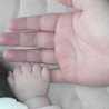 zumi_shi