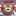 ♪ぴっこりん♪ ♪ぴっこりん♪