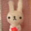 北うさぎ