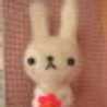 北うさぎ