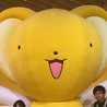さくさくあやか