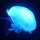 jinbeeee