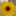 Sunshine45 Sunshine45