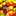 clover_oo clover_oo