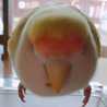 うりぱろ