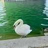 snm2525u_u snm2525u_u