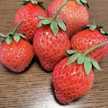 はるあんずママ