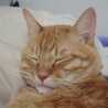 ｄｒｅａｍｃｈａｎ