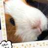 わそらん121