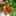 アンパンうーマン アンパンうーマン