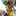 puq0221 puq0221