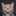 ルフィねこ ルフィねこ