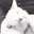 元