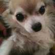 michelley