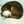 しまねこ