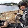 shunsai