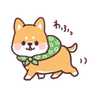 わんこ師匠