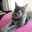 Minette222