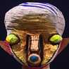 punjin