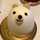 yuiheisan