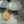 niwatori-