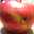 Apple1183