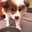 ＊ななこ＊