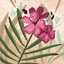 おもちちゃん