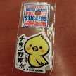 chi-kuma