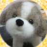 さっこ２１２