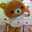 きょんこ★