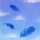 C：Blue