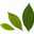 green_lf