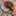 Mayu_1108 Mayu_1108