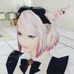うさみみぽん