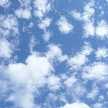 理菜仔