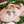 ポコたん