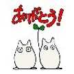 おからぱうだー