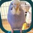 ゆーちゃまん